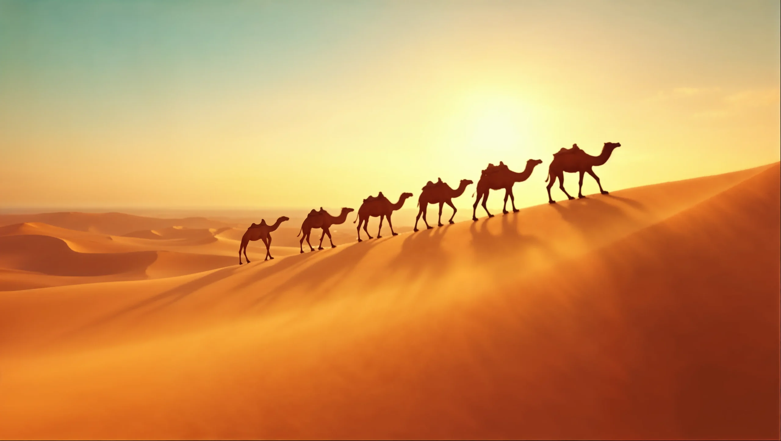 camel-caravan-sunset